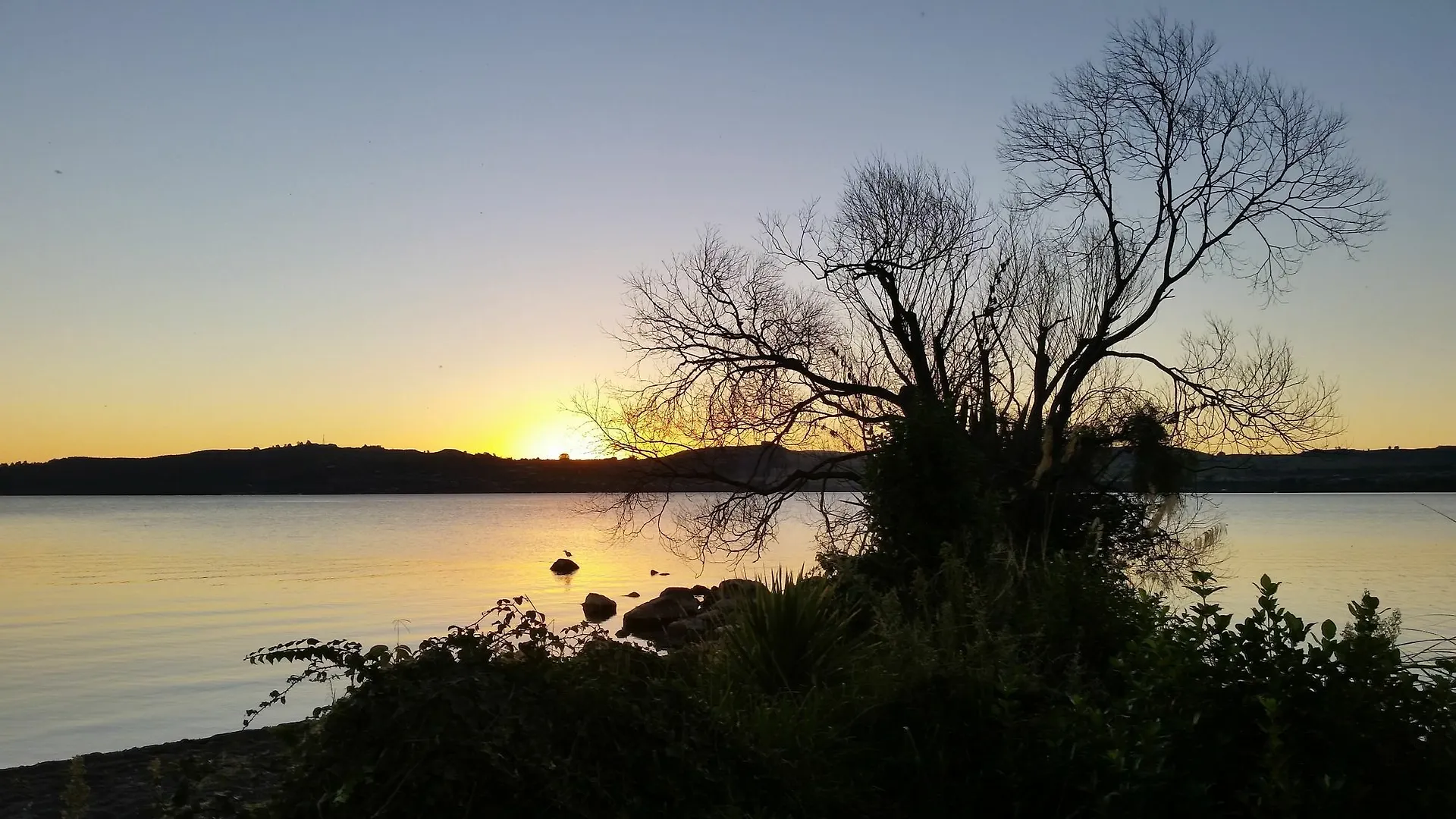 ****  Cottage Mews Motel Taupo New Zealand